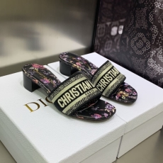 Christian Dior Slippers